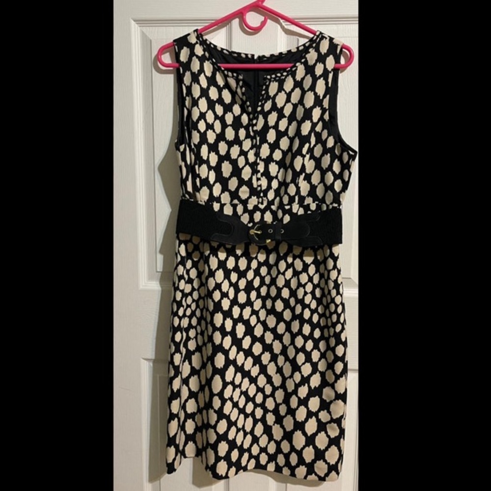 antonio melani dress with belt